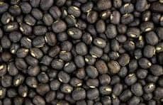 Urad Daal (Black Gram) view 2