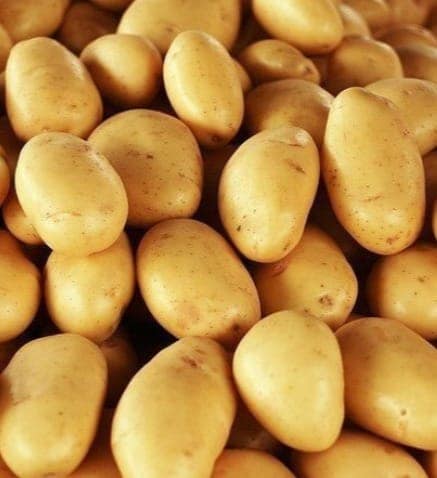 Fresh Potato (Aloo) view 2
