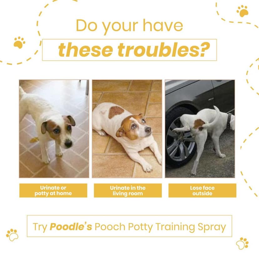 Poodle Pooch Potty Training Spray | Plant Based, For Puppies and Adult Dogs | 200 ml | Helps in urine and Potty Training for pets view 2