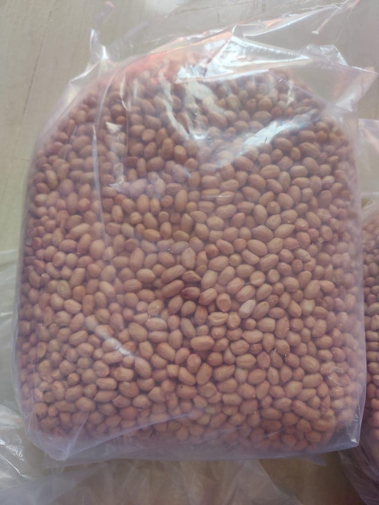 SALKUTI FOODS Premium Raw Peanuts - 5 Kg Pack, Nutrient-Rich & Versatile view 2