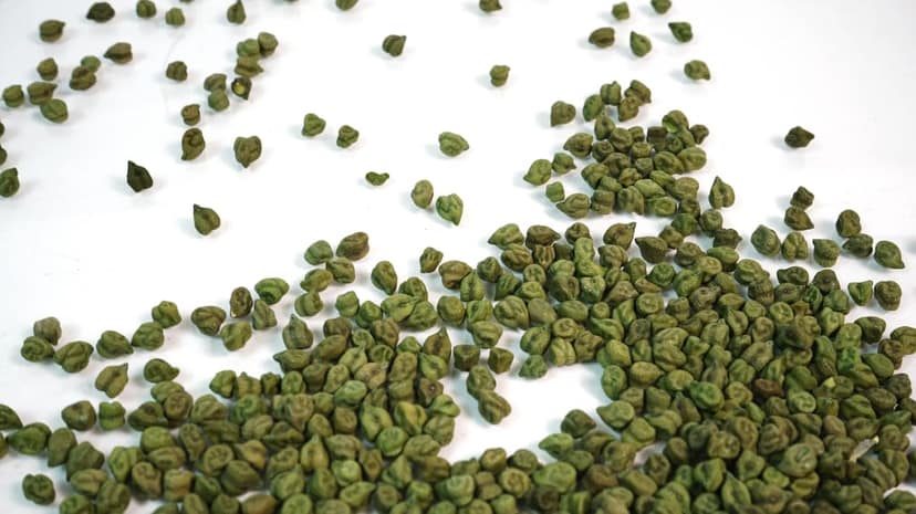 Harbhara 250 gram