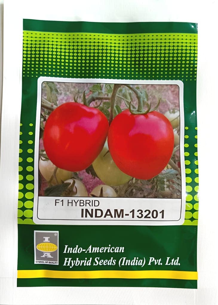 TOMATO INDAM 13201 HYBRID SEEDS -50 seeds view 2