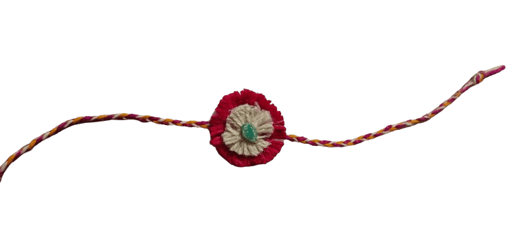 Eco-Friendly Plantable Rakhi with Millet Laddoo view 2