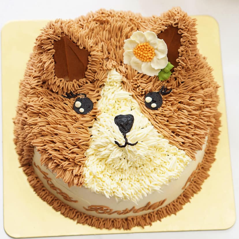 Sweet Cat Design Cake Chocolate 1 Kg view 2