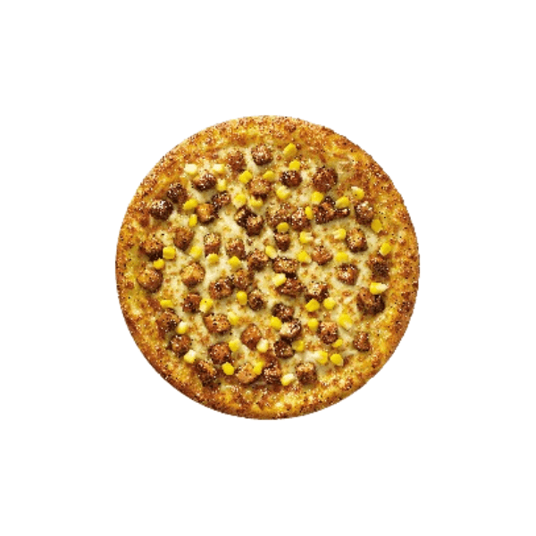 Non Veg Chicken Delight Pizza Regular