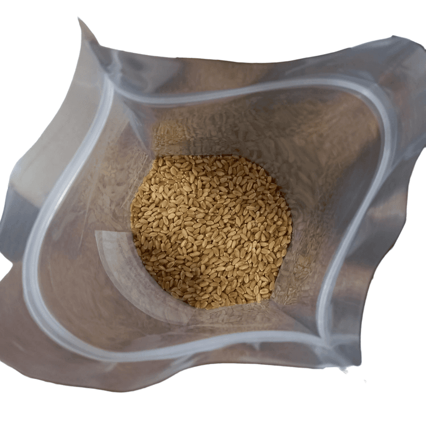Wheat (1Kg) view 2