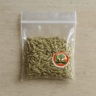 Ramvati Essentials's saunf (fennel seeds)