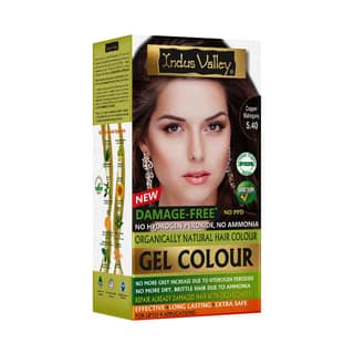 INDUS VALLEY Damage Free Natural Gel Hair Colour for Women | Ammonia & PPD Free Organic Hair Colour with 100% Grey Coverage, Long Lasting Conditioning Hair Color | Copper Mahogany 5.40-220 ml INDUS VALLEY Damage Free Natural Gel Hair Colour for Women | A