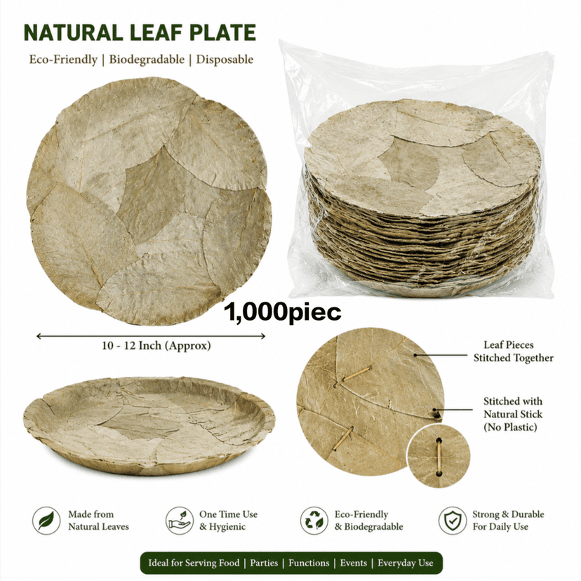Natural Leaf Plate, Pattal Plate, Dona Pattal, Traditional Leaf Plate, Disposable Leaf Plate 1,000piec view 2