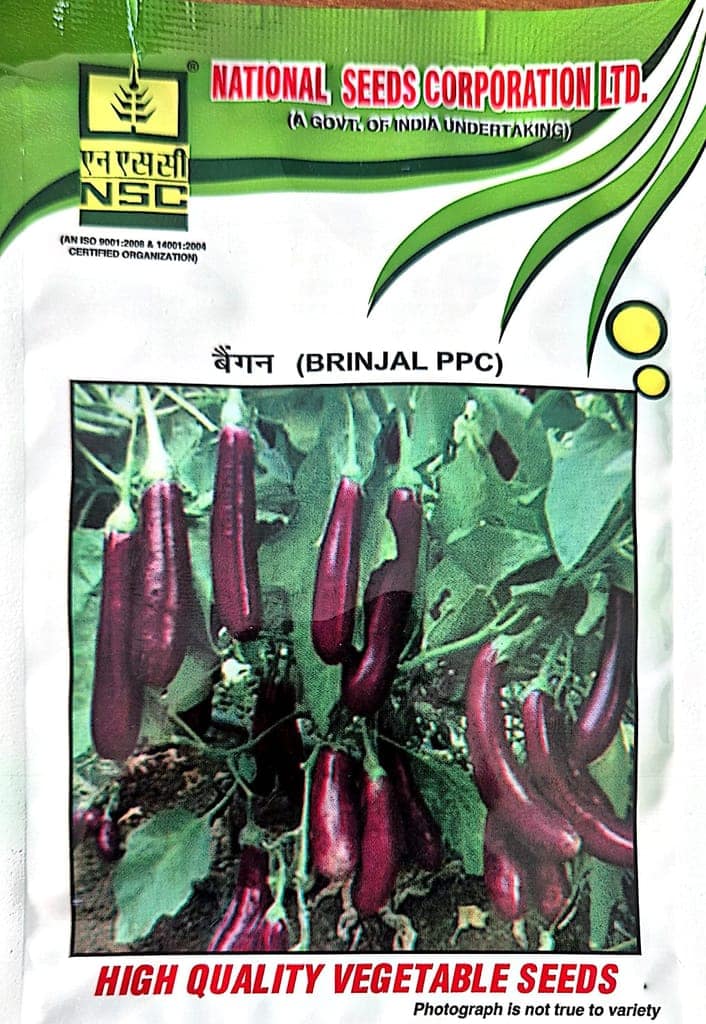 NSC BRINJAL PPC SEEDS -10GM