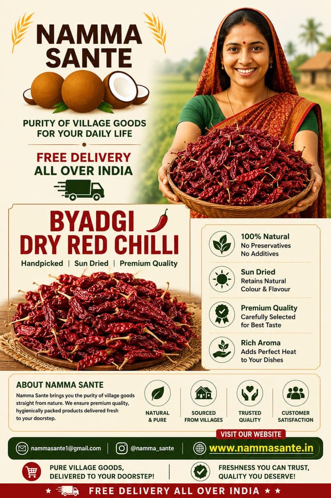 Byadgi Dry Red Chilli | Sukhi Lal Mirch | Ona Menasinakayi | Endu Mirapakaya | Kaayndha Milagai | Sukya Lal Mirchya