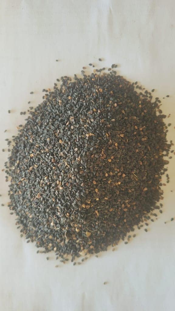 Black Sesame Seeds view 2