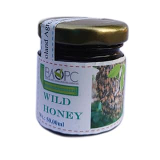 WILD HONEY - 50 ml - 50 mL