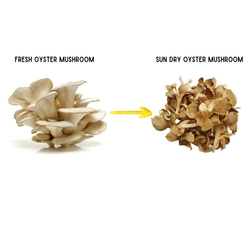 Dry Oyster Mushroom 100 gm || Sun Dried Grade A Quality view 2