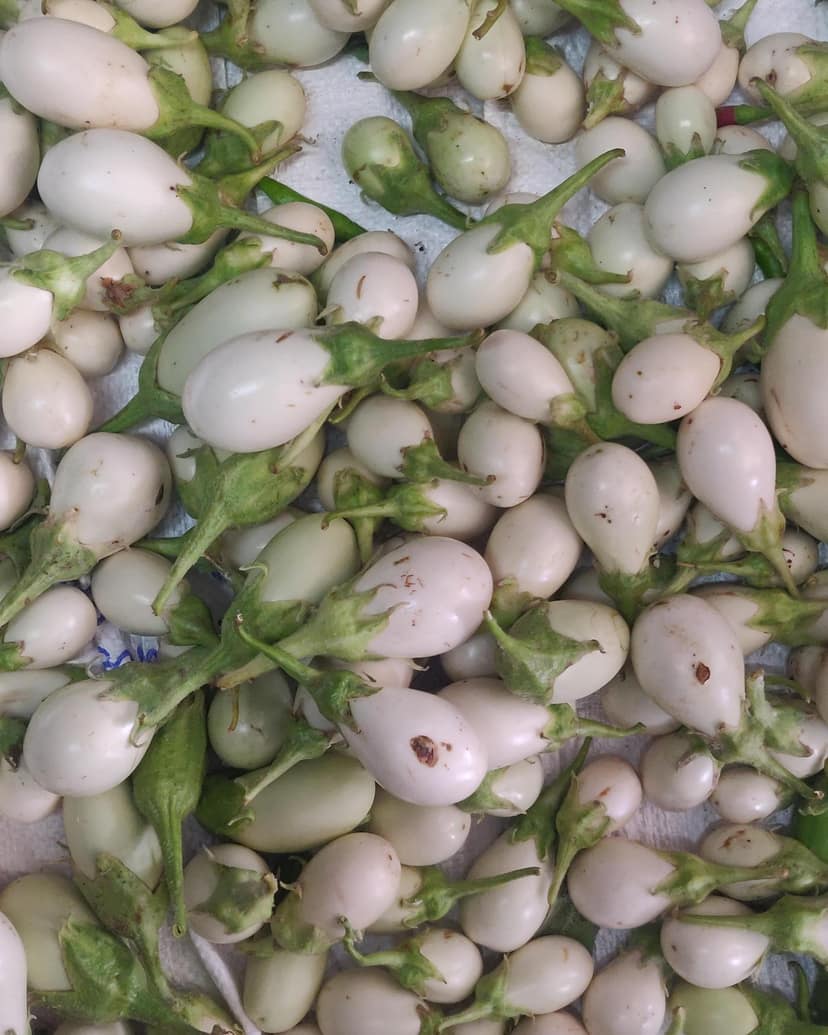 Brinjal