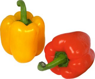 Capsicum - Red/Yellow 250 gms