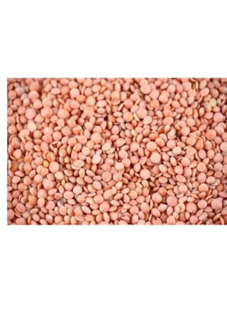 Mansoor dal