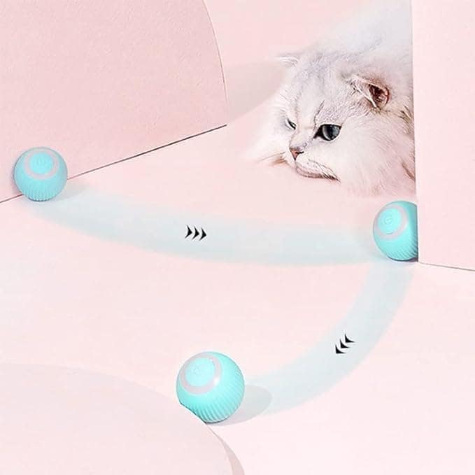 Cat Ball Toy, Automatic 360° Self-Rotating Rolling Ball with USB Rechargeable Moving, Lighting, Pet Exercise Kitten and Dog Playing Smart Cat Toy (Multicolor) view 2