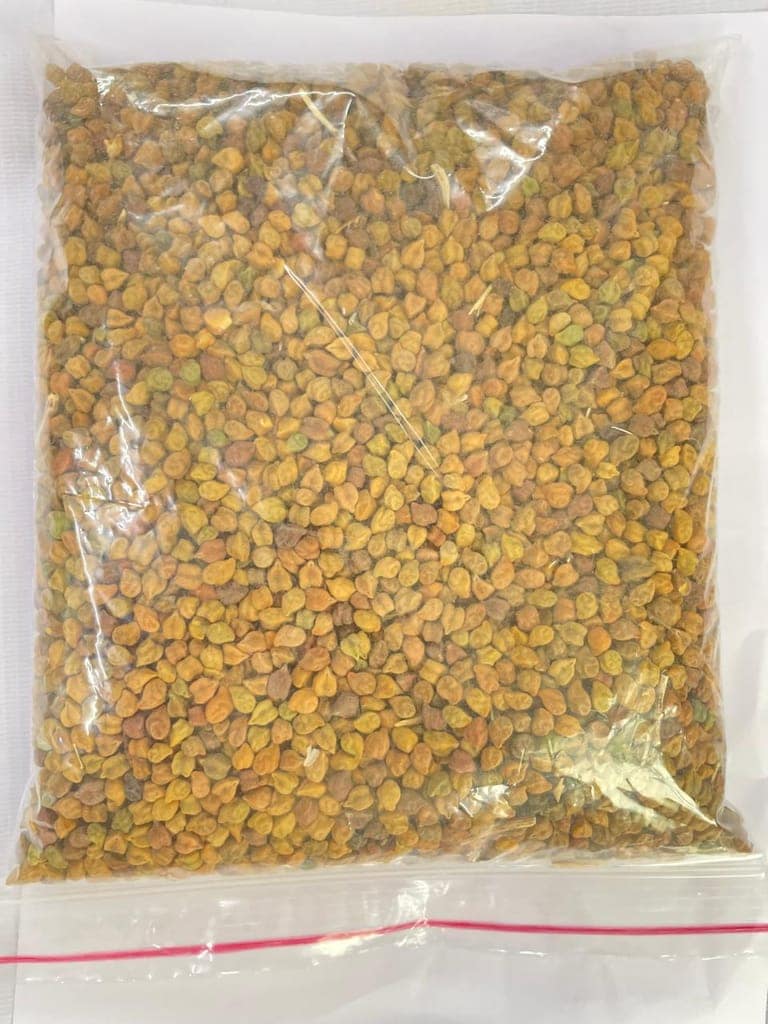 CHANA view 2