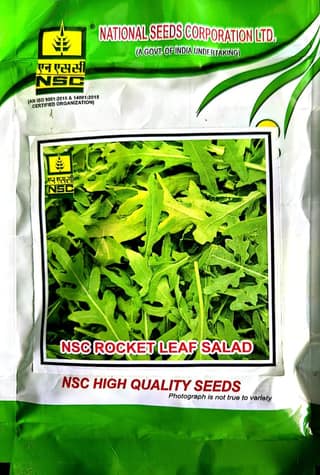 NSC ROCKET LEAF - 50 GM