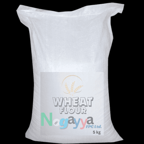 Combo Wheat & Bajra Flour view 2