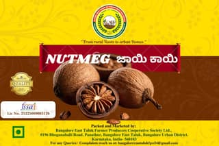 Nutmeg