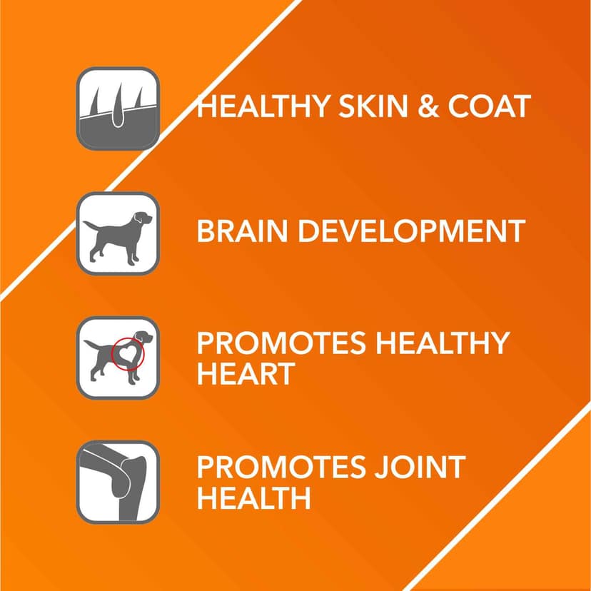 Drools Absolute Salmon Oil Syrup Supplement and Vitamin Supplement Tablets for Dogs Combo Drools Absolute Salmon Oil Syrup Supplement and Vitamin Supplement Tablets for Dogs Combo - 3x150mL + 50pcs view 2