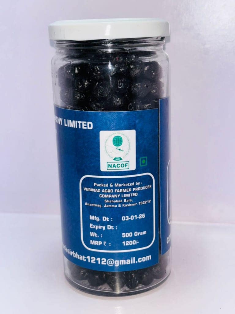 Premium Dried Blueberries in Glass Jar view 2
