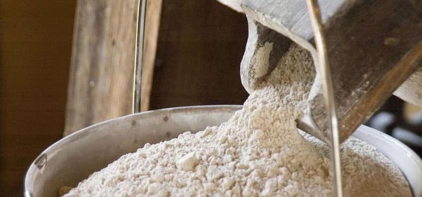 Wheat Flour view 2
