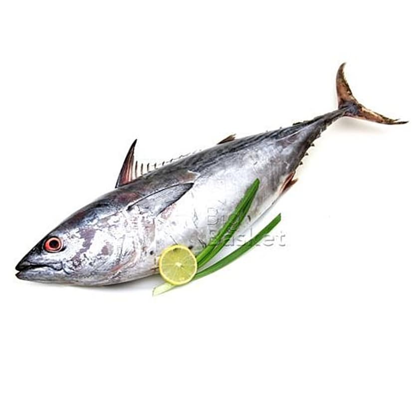 Tuna (Surai) 1 Kg