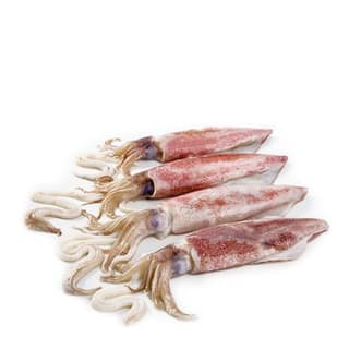 Squid 1kg