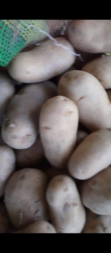 Potato 10 kg view 2