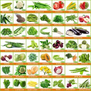 Vrisa Green 45 Varieties of Vegetable Seeds Combo With Instruction Manual Easy To Grow