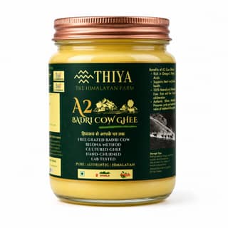 Thiya A2 Badri Cow Ghee (500gm) | Bilona Method | Pure Desi Ghee from Free-Grazing Cows | Himalayan Superfood | Himachal Pradesh
