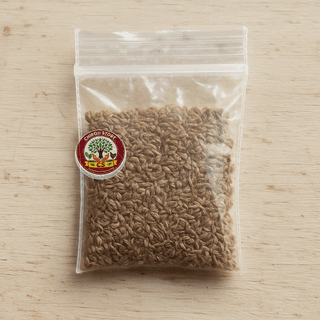 Chiroji Store's ajwain seeds