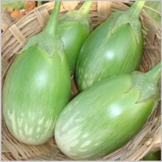 BRINJAL view 2