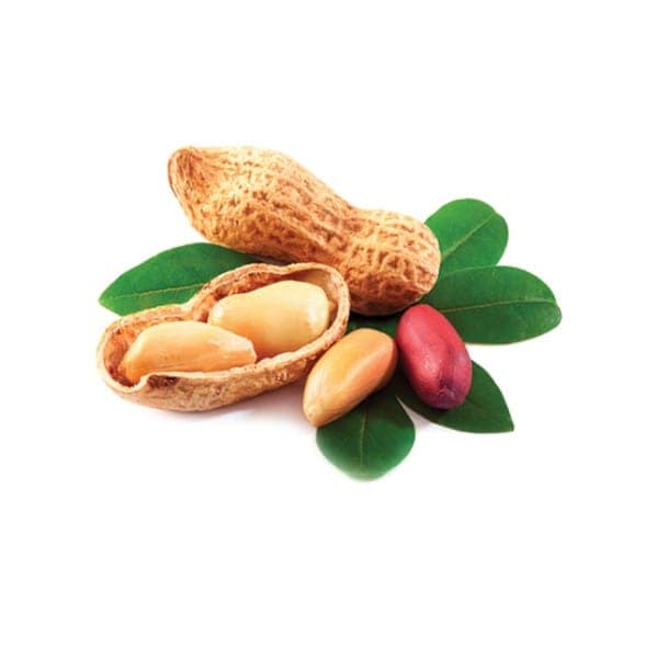 Cold Pressed GroundNut Oil 500ml view 2