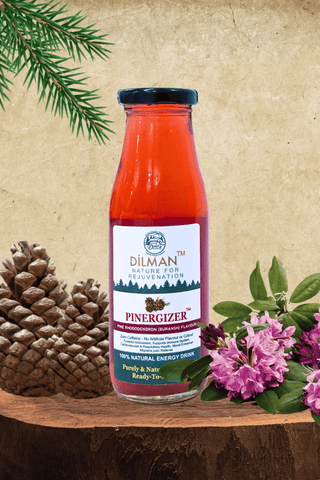 Pinergizer - 100% Natural Instant Energy Drink with Pine Rhododendron (Buransh) Flavor