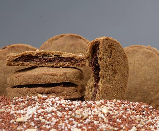 Advik Choco filled Multimillet Cookies - Ashwangantha (120 Gram) view 2