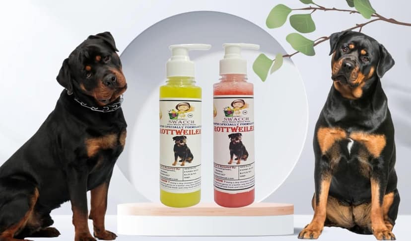 SWACCH Premium Shampoo for Rottweiler (200ML) (Combo Pack of 2) Lemon & Jasmine