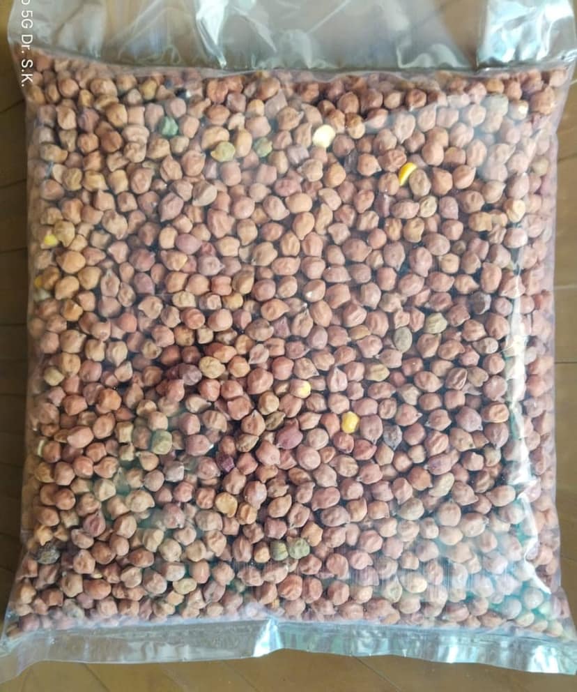 Kala Chana | chickpea |(शुद्ध देशी साबुत चना) 1KG view 2