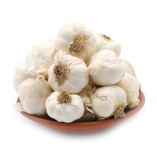 SS GARLIC