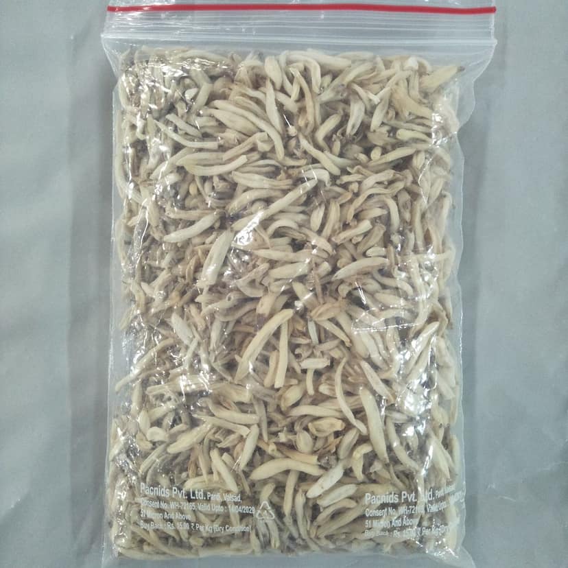 Forest Musli - 250gm view 2