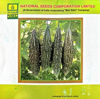 NSC BITTER GOURD VAR - KASHI PRATISHTA - 5 GM
