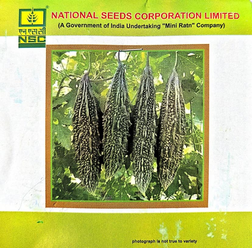NSC BITTER GOURD VAR - KASHI PRATISHTA - 5 GM