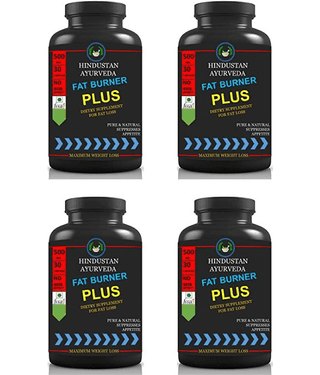 Hindustan Herbal FAT BURNER PLUS 0.4 kg Unflavoured Pack of 4