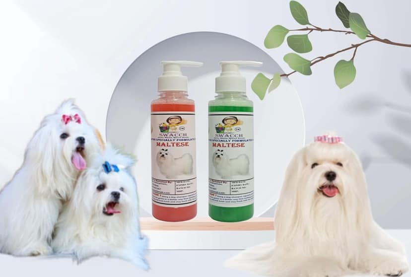 SWACCH Premium Shampoo for Maltese (200ML) (Combo Pack of 2) Jasmine & NEEM ALOVERA