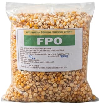 Dubhar Fed Farmer Producer Company Makka Corn 1kg