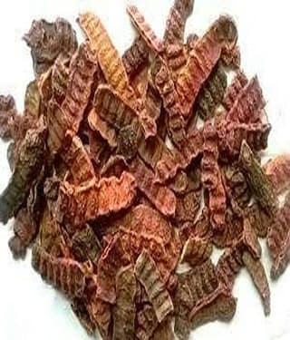 MYGODGIFT SHIKKAKAI Acacia Concinna | Sabut Shikakai in Raw form 100 gm