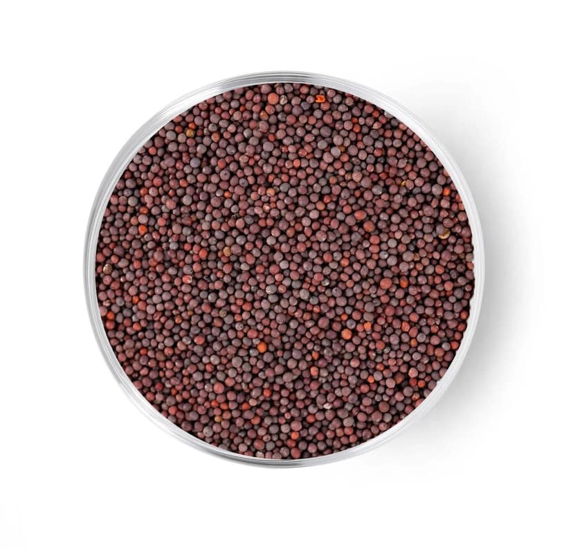 Rai, Mustard Seeds, Sarson Dana, Kadugu, Black Mustard Seeds view 2